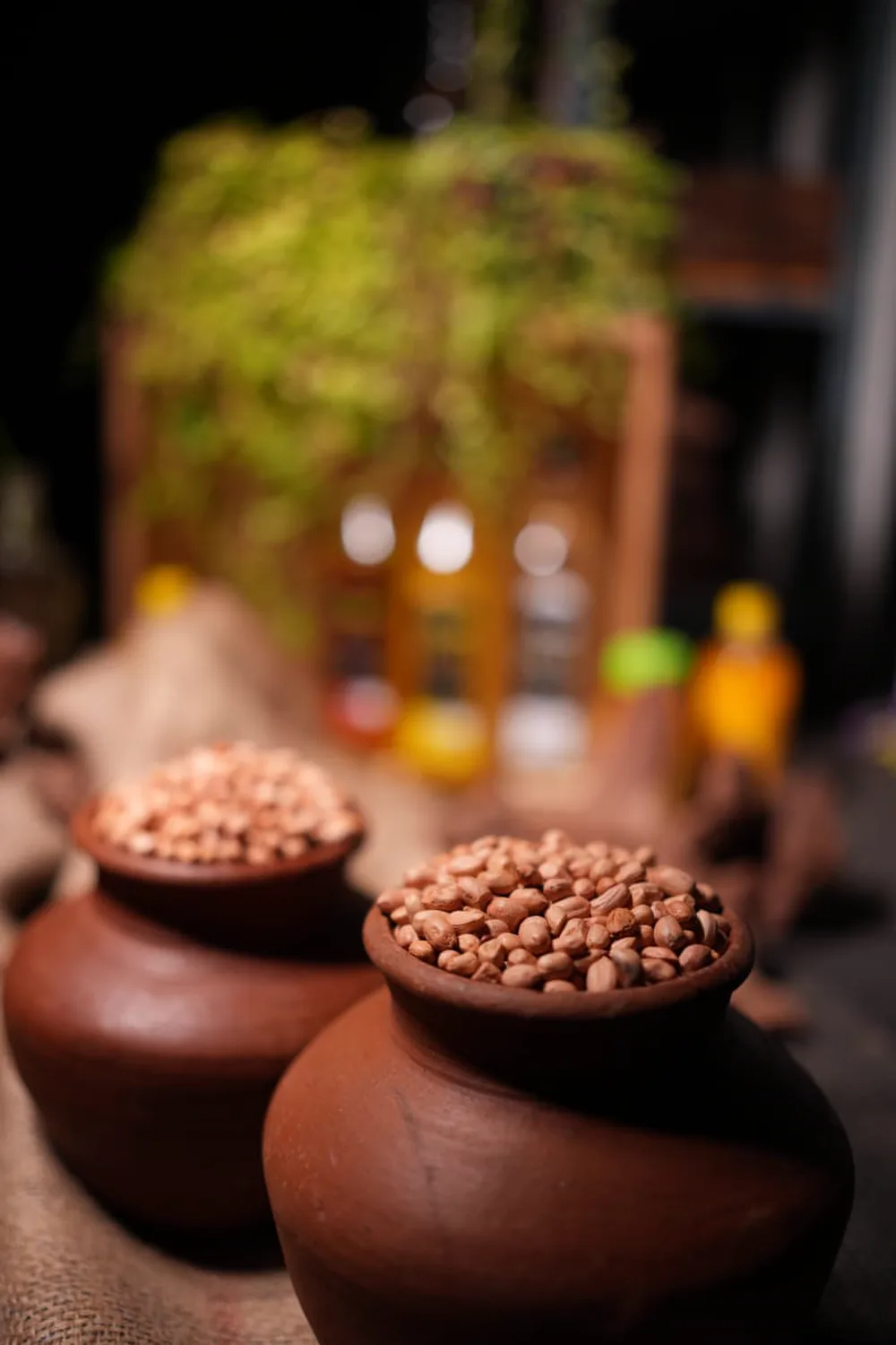 Clay pots filled with groundnuts, with oil bottles behind.