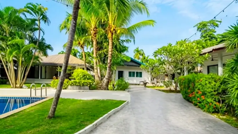 Coconut palms above the cottage roofs